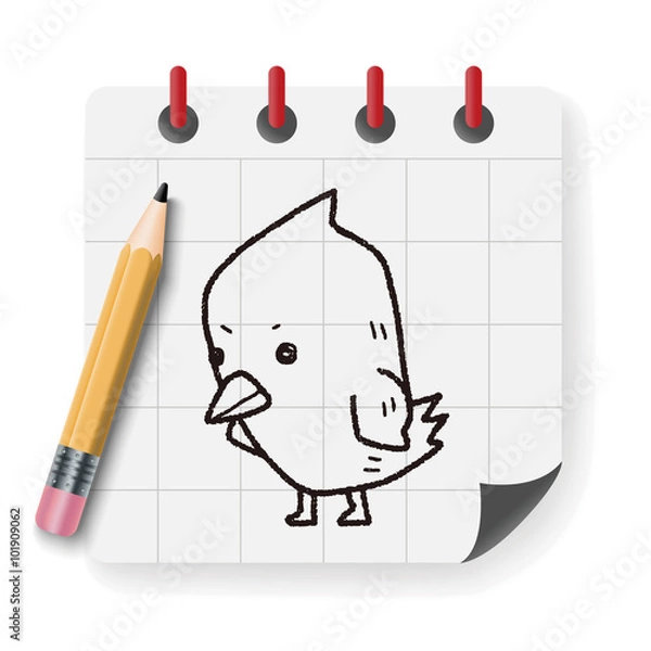 Fototapeta chick doodle