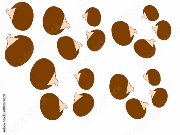 Obraz A digital design of a pattern of raw  chessnuts in a white background