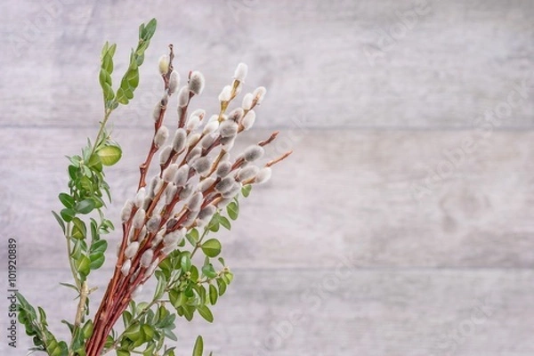 Obraz Catkins Grey Background Boxtree