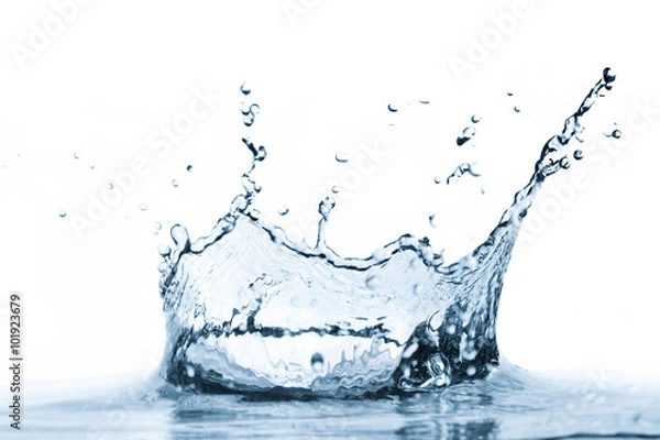 Fototapeta Water splash isolated on white background.