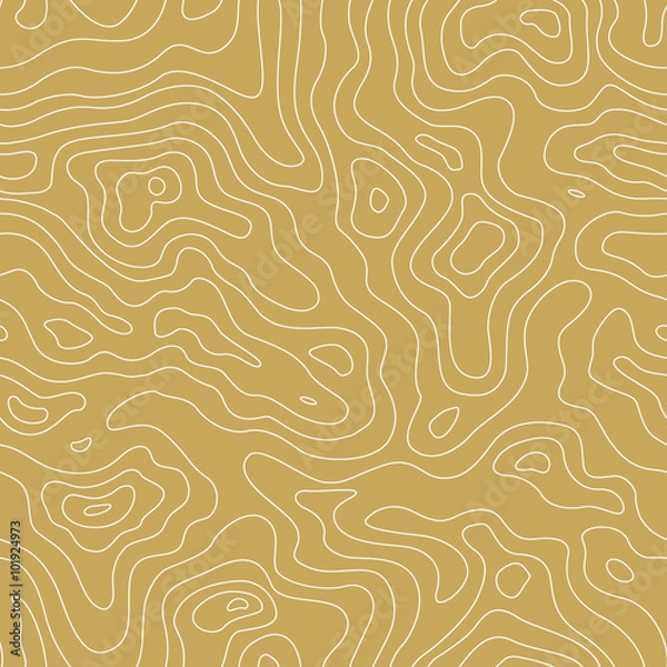 Obraz Topographic Map Seamless Pattern. Vector Background