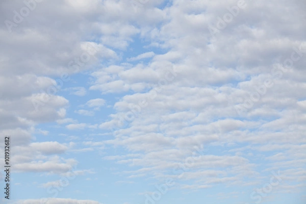 Fototapeta colorful dramatic sky with cloud at sunset