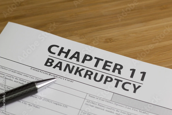 Obraz  Bankruptcy Chapter 11