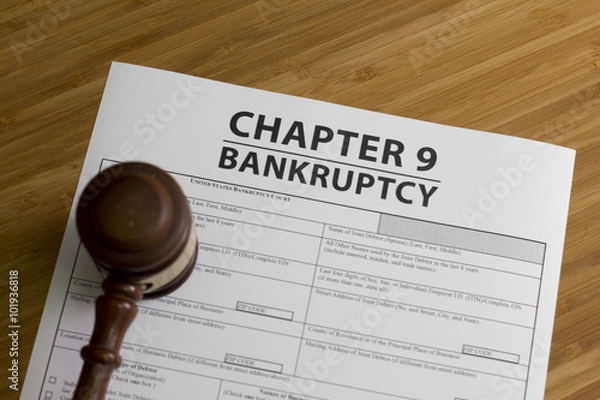 Obraz  Bankruptcy Chapter 9