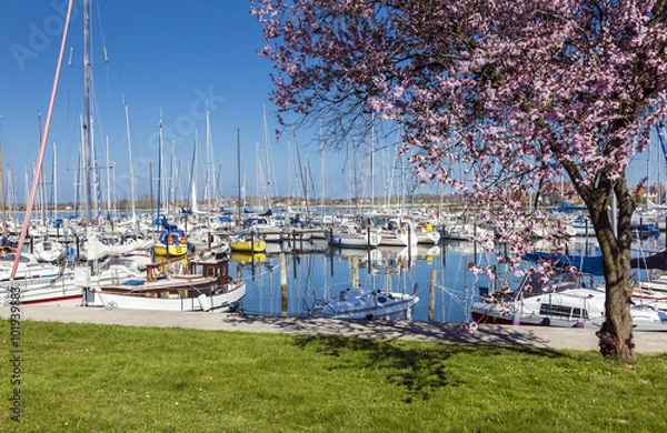 Obraz Arnis Yachthafen 