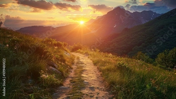 Obraz Trekking path in the mountains during beautiful summer sunset