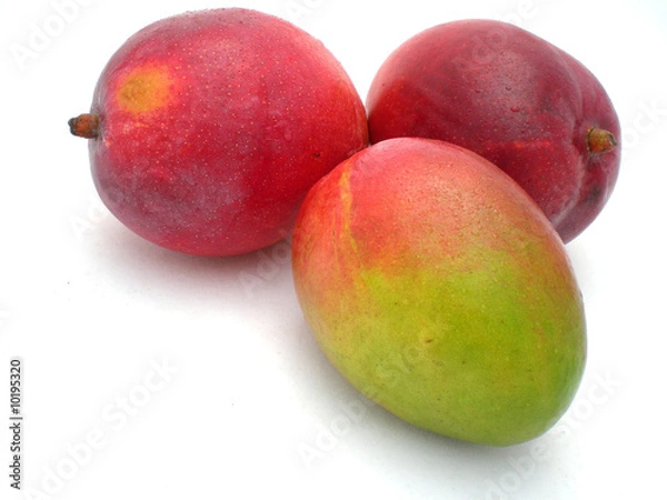 Obraz Mango
