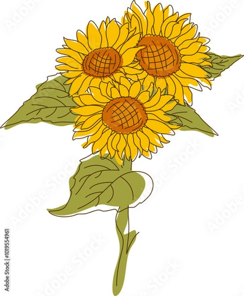 Obraz Abstract Line Sunflower