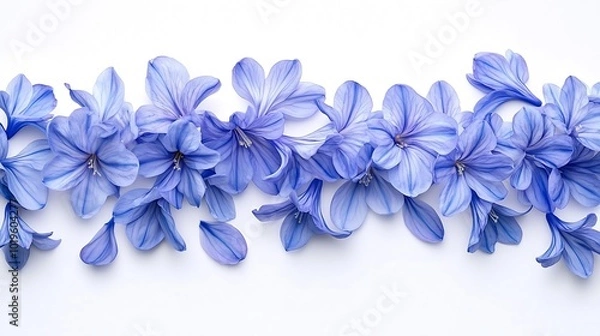 Fototapeta Blue hyacinth flower petals isolated on white background Spring garden flowers bouquet Easter decoration Design element Top view flat lay Creative layout : Generative AI