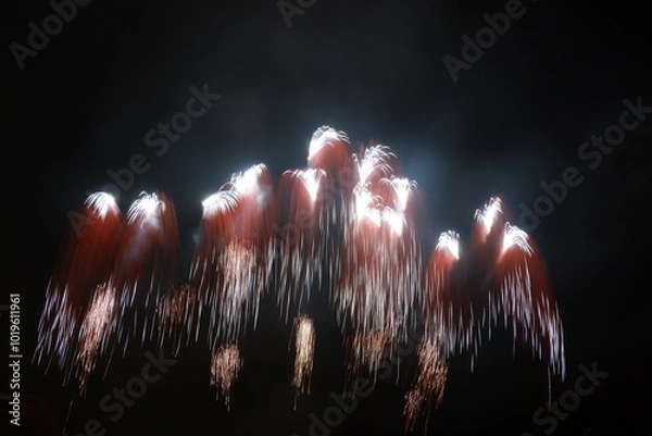 Obraz 茨城の打ち上げ花火