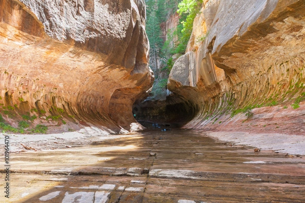 Obraz The Subway - Left Fork in Zion National Park
