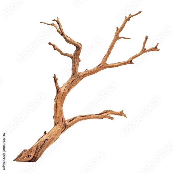 Fototapeta A closeup of rough bark on a sturdy tree branch, showcasing natures intricate textures against a clean backdrop.