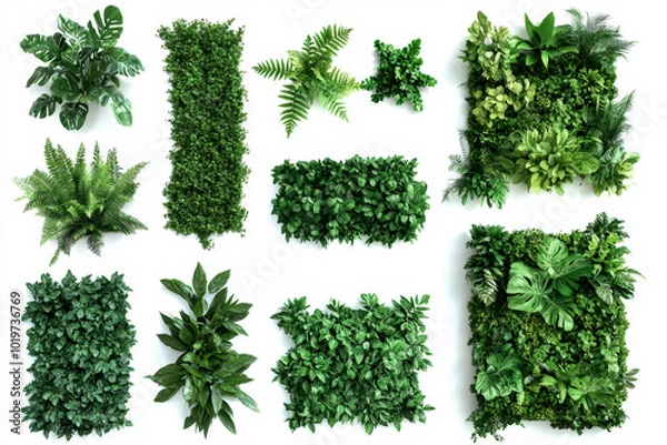 Fototapeta Collection of green garden walls created from vibrant tropical plants set against a white background perfect for enhancing indoor spaces and promoting eco-friendly design isolated on white background