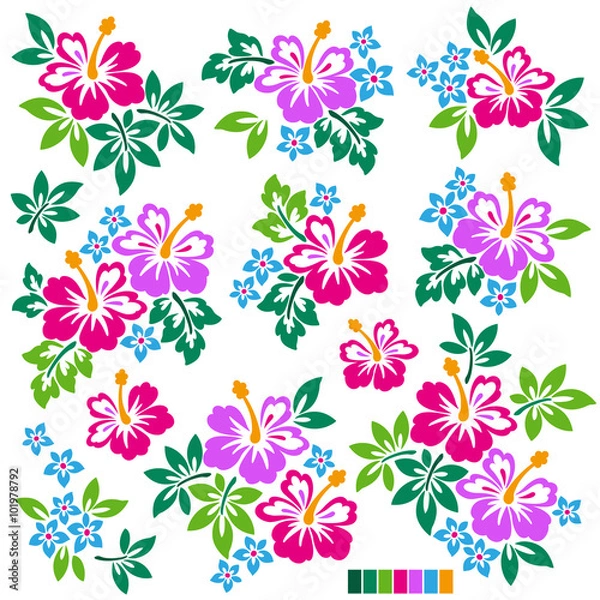 Fototapeta ハイビスカスのイラスト