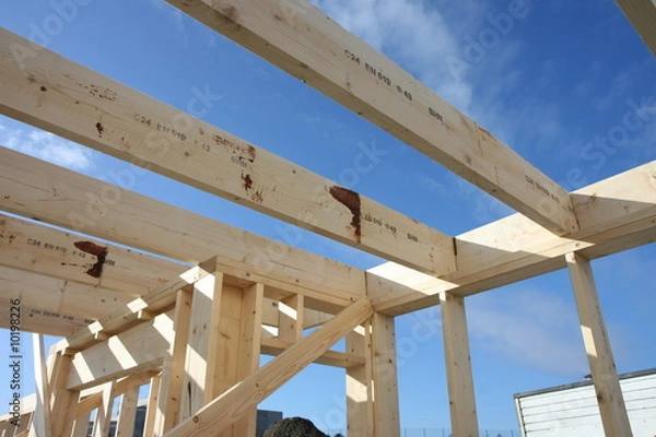 Obraz Framework for house