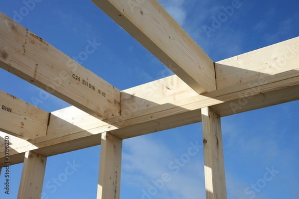 Obraz Framework for house