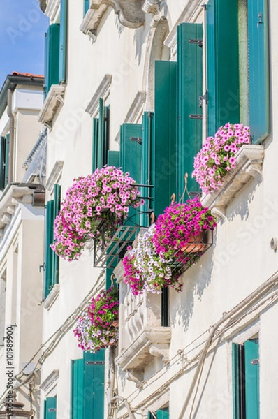 Fototapeta Flowers on windowsill and balcony in bright sunny day in Chioggia