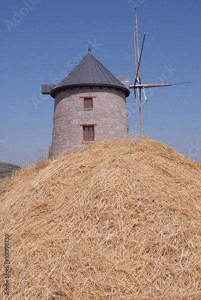Obraz Wind mill