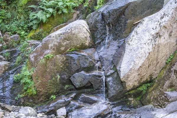 Obraz 岩場　斜面　水　石清水　滝　森　川　流れ　トレッキング　自然