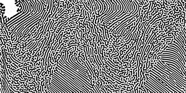 Obraz Dynamic abstract black and white vector design featuring intricate linework for creative professionals and artists.
