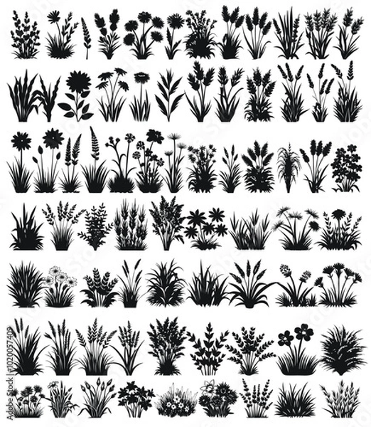 Fototapeta Wild Flower Grass Design Vector Set
