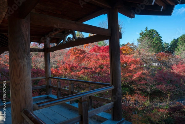 Obraz 京都　東福寺の通天橋と紅葉