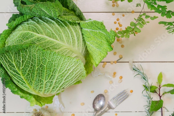 Fototapeta cabbage on a cream background
