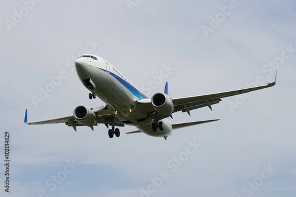 Fototapeta Boeing 737-800