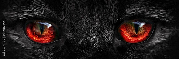 Obraz Kudłaty potwór czerwone oczy zbliżenie