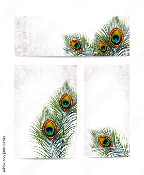 Obraz Beautiful vector peacock feathers on retro background with space for text. EPS 10