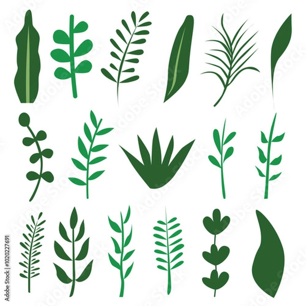 Fototapeta leaf element set vector illustration