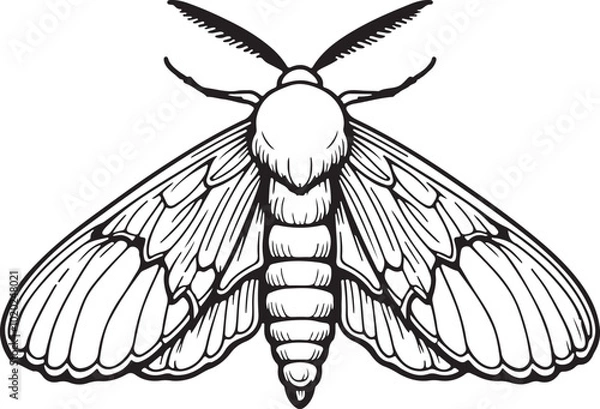 Fototapeta Wax Moth Bug simple outline vector illustration line art