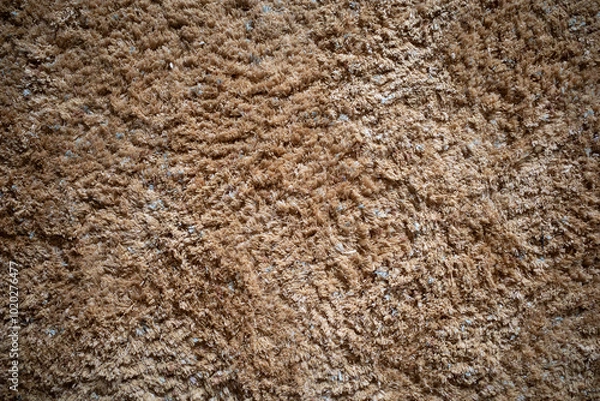 Fototapeta ラグの質感