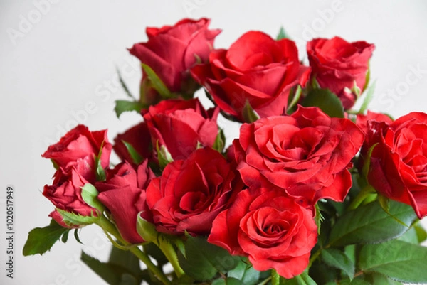 Fototapeta 赤いばら