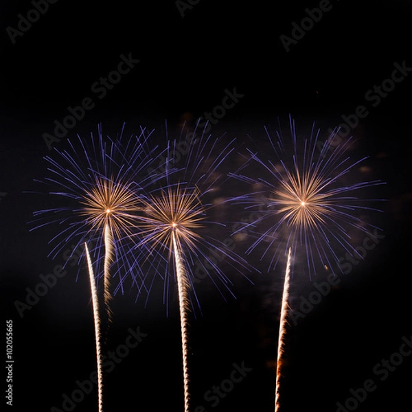 Obraz Fireworks isolated on black background