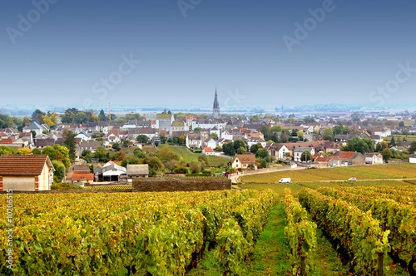 Obraz Meursault, Côte d'Or