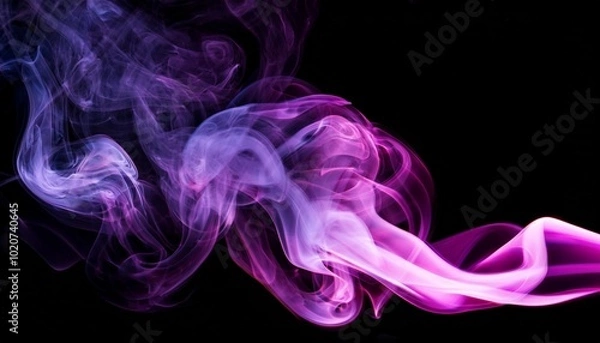 Fototapeta dynamic violet and magenta smoke swirls abstract art on transparent and black background