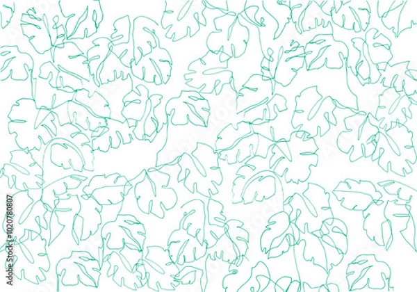 Fototapeta Line drawn monstera pattern. Tropical forest. Jungle drawing.
Monstera leaves drawn by pen. Continuous one line drawn tropical leaves. Green minimalist monstera plants backgroun.