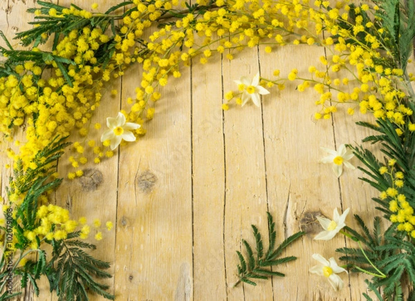 Obraz Мимоза в международный женский день