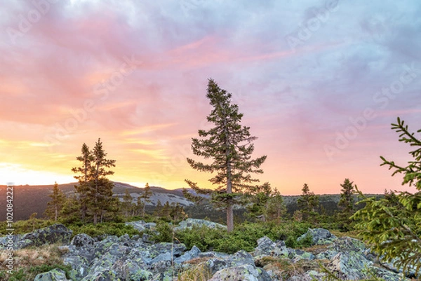 Obraz sunrise in the mountains