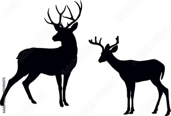 Obraz deer silhouette