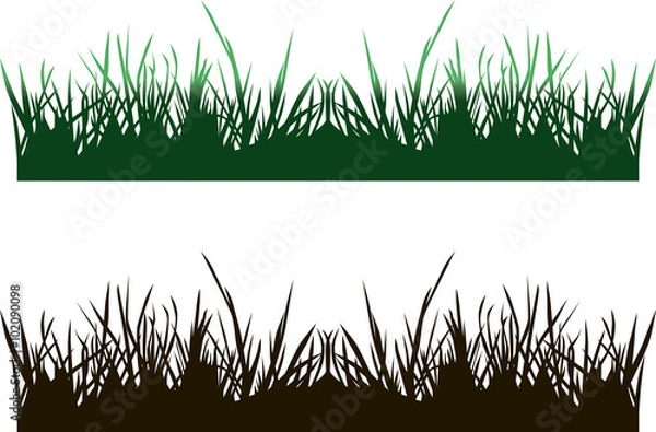 Obraz grass