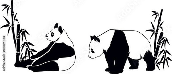 Obraz panda with bamboo