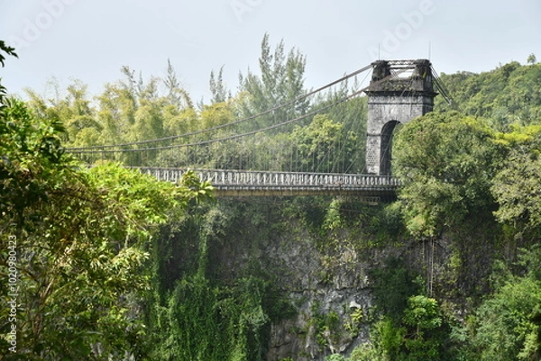 Fototapeta Pont suspendu de la rivière de l'Est