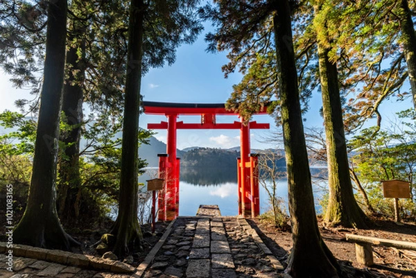 Fototapeta 箱根神社 平和の鳥居　神奈川県箱根町