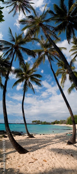 Fototapeta tropical beach