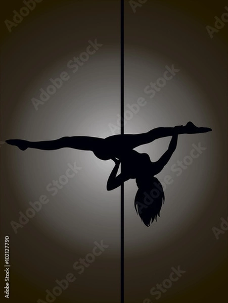 Obraz pole dancer