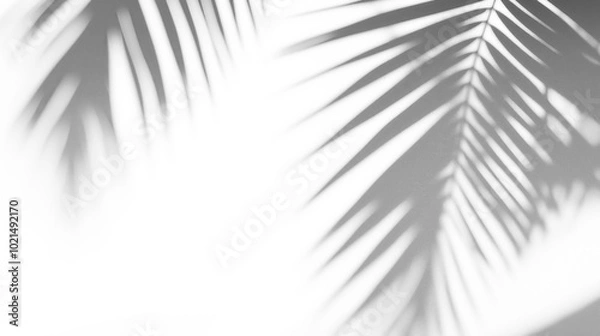 Obraz Shadows from tropical leaves
