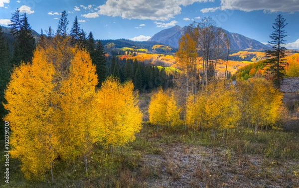 Fototapeta Guanella Pass
