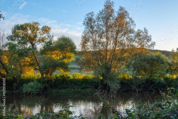 Obraz autumn trees in the park